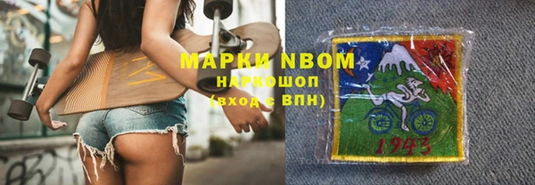 метадон Алексин