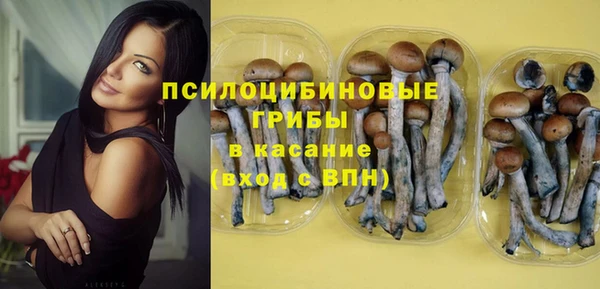 MESCALINE Алзамай