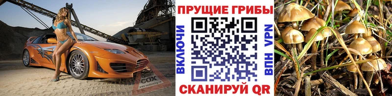 Галлюциногенные грибы мухоморы Ижевск